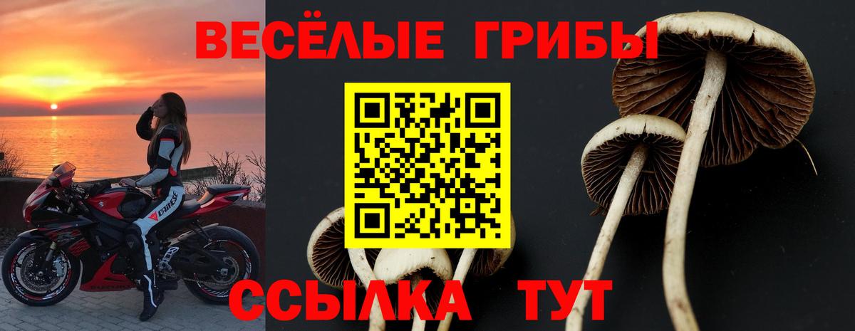 Галлюциногенные грибы мицелий Старый Оскол